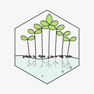 Щавель Зелений 100г &mdash; насіння мікрозелені GreenBox