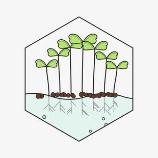 Капуста Зелёная 100г &mdash; семена микрозелени GreenBox