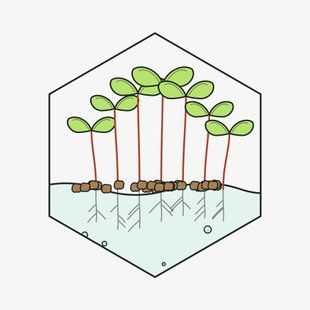 Мангольд 100г &mdash; насіння мікрозелені GreenBox