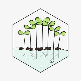Брокколи Калабрезе 100г &mdash; семена микрозелени GreenBox