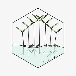 Петрушка 100г &mdash; насіння мікрозелені GreenBox