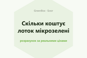 Сколько стоит лоток микрозелени дома фото