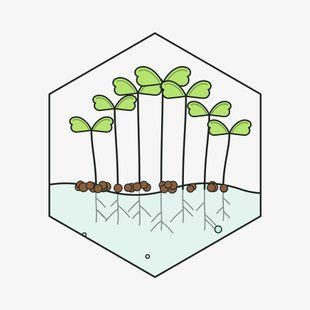 Редька 100г &mdash; насіння мікрозелені GreenBox