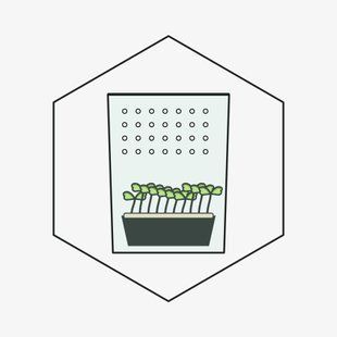 Пакет перфорированный с дном 25*30см 100шт &mdash; семена микрозелени GreenBox